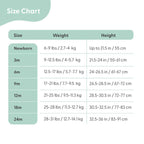 progressive image testing