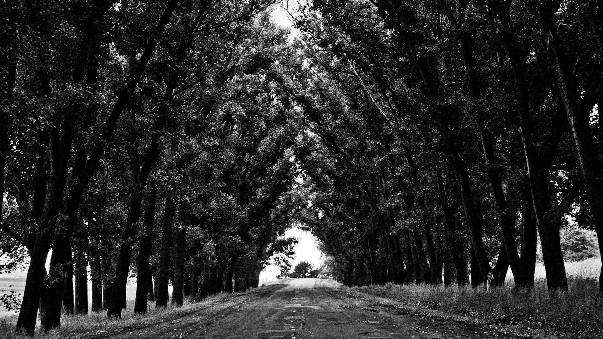 testing for bulk optimizer 0.00 ₹