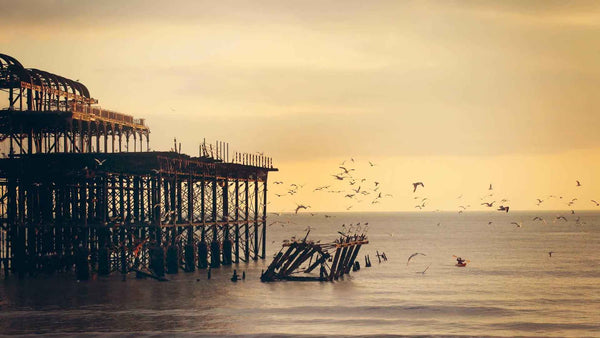 testing for bulk optimizer gh gfhg